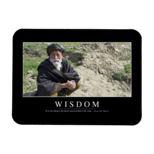 Vishet: Inspirera citationstecken 1 Magnet
