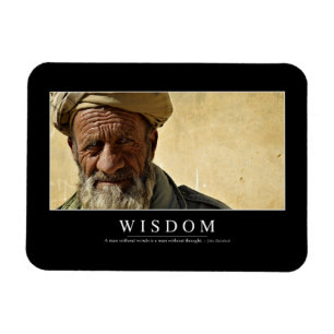 Vishet: Inspirera citationstecken 2 Magnet