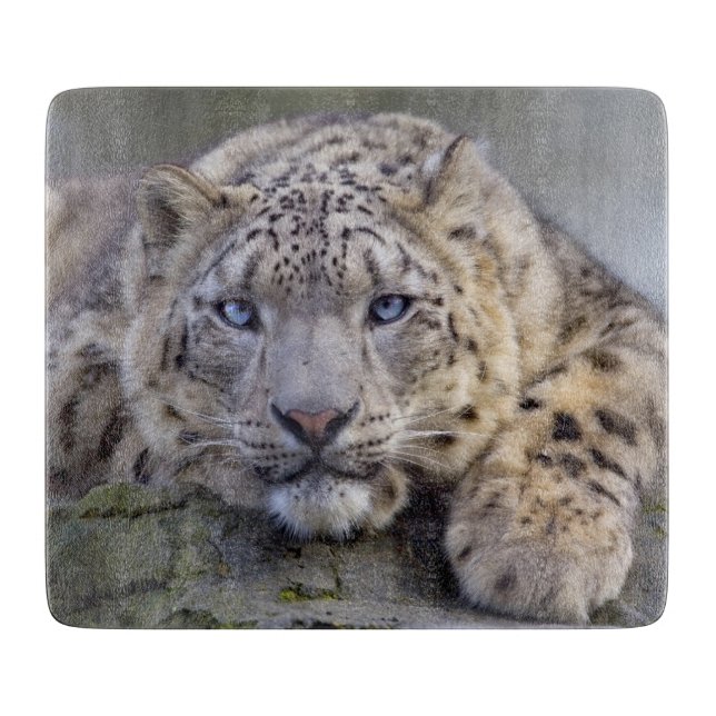 Vishnu Snö Leopard Skärbräda (Framsidan)