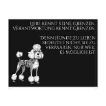 Visig moderne Grand Danois
