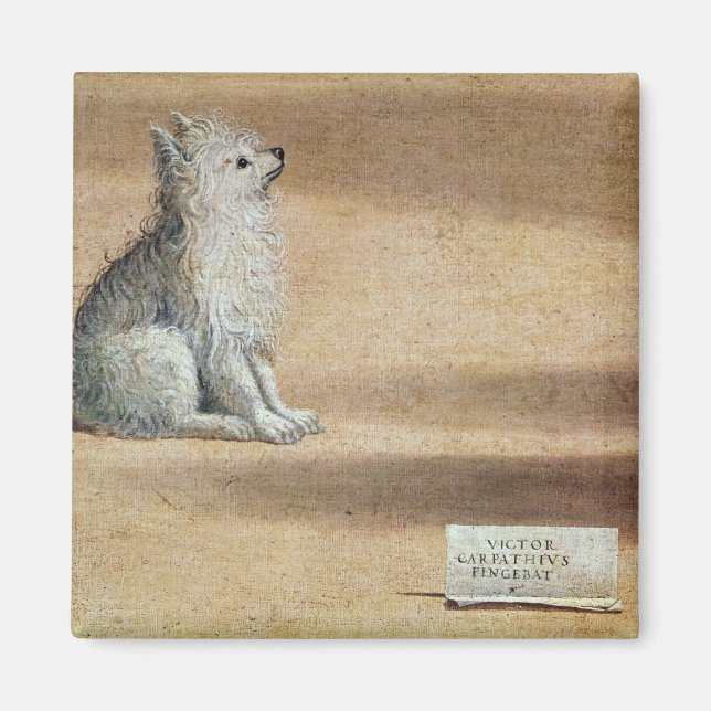 Vision av St. Augustine Magnet (Framsidan)