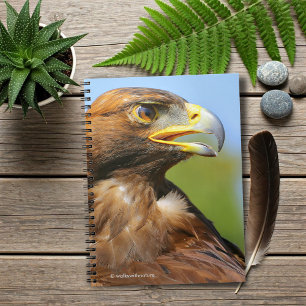Vision för en vacker ung Golden Eagle Anteckningsbok Med Spiral