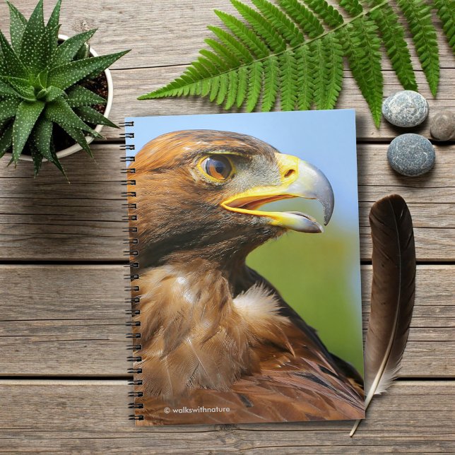 Vision för en vacker ung Golden Eagle Anteckningsbok Med Spiral (Vision of a Beautiful Young Golden Eagle Journal Cover Photo)
