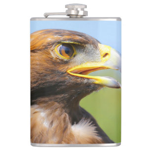 Vision för en vacker ung Golden Eagle Fickplunta