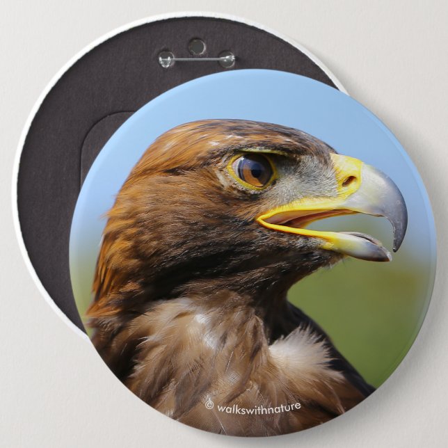 Vision för en vacker ung Golden Eagle Knapp (Framsida & baksida)