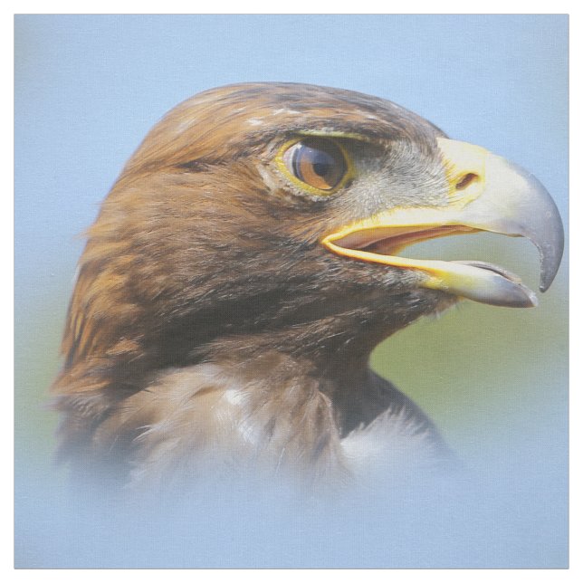 Vision för en vacker ung Golden Eagle Tyg (Provkarta)