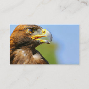 Vision för en vacker ung Golden Eagle Visitkort