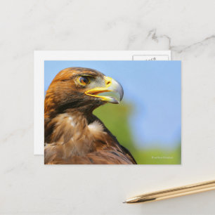 Vision för en vacker ung Golden Eagle Vykort
