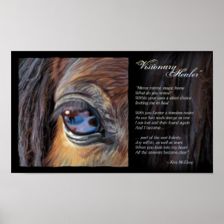 Visionär Healer-inspiration, © Kim McElroy Poster