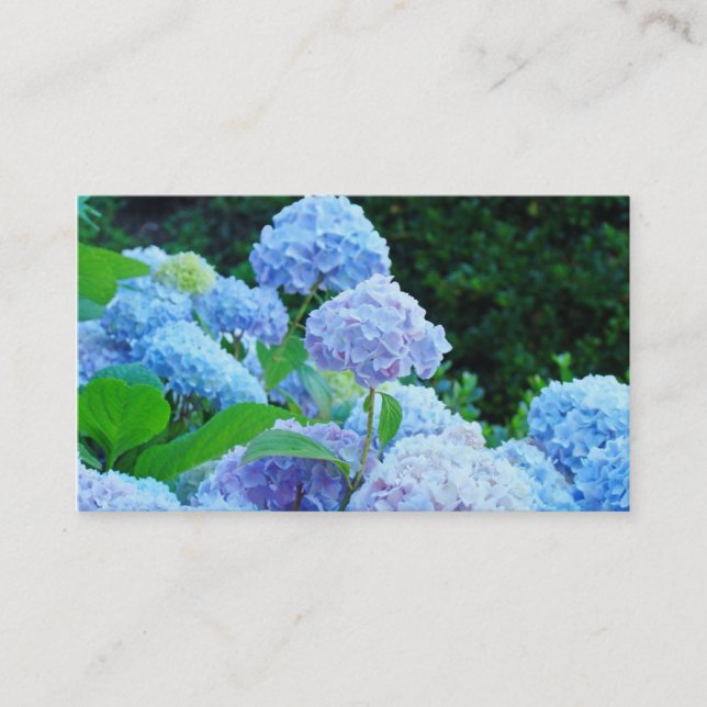 Visitenkort Blå Hortensia Blommor Blommig Visitkort (Framsida)