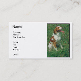 Visitkort för Brittany Spaniel