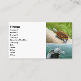 Visitkort för DiamondbackTerrapin