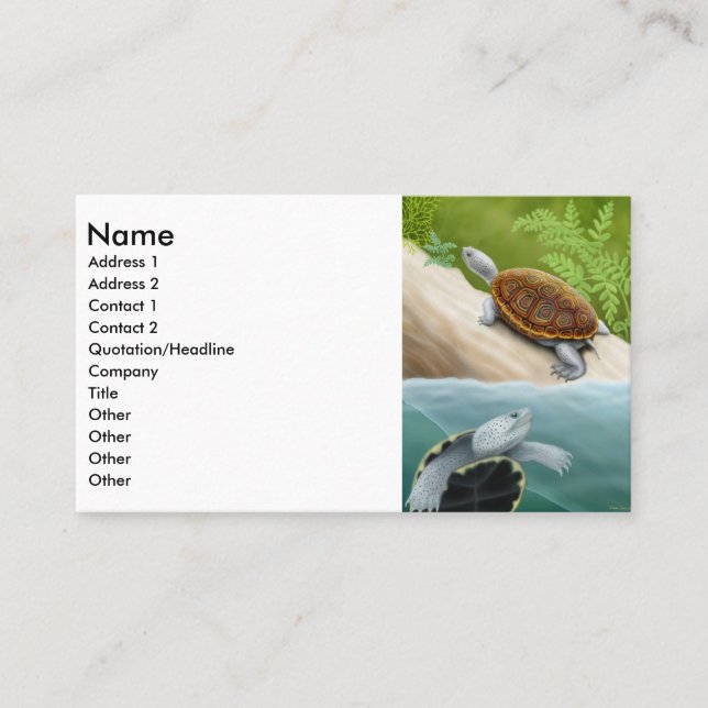 Visitkort för DiamondbackTerrapin (Framsida)