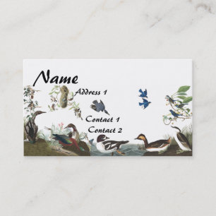 Visitkort för djurliv för Audubon Collagefåglar