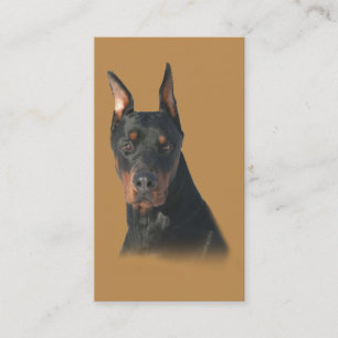 Visitkort för DobermanPinscheravelsdjur