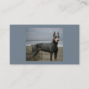 Visitkort för DobermanPinscherhund älskare