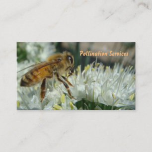 visitkort för honungbipollination