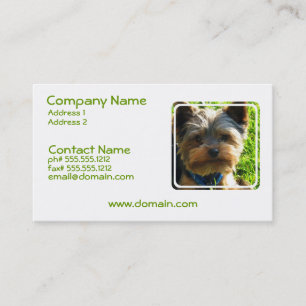 Visitkort för hund för Yorkshire Terrier