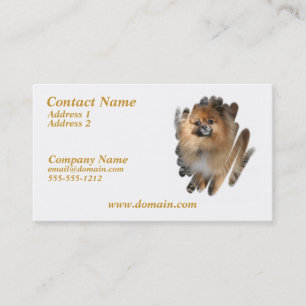 Visitkort för miniatyrPomeranian hund