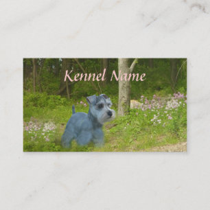 Visitkort för miniatyrSchnauzeravelsdjur