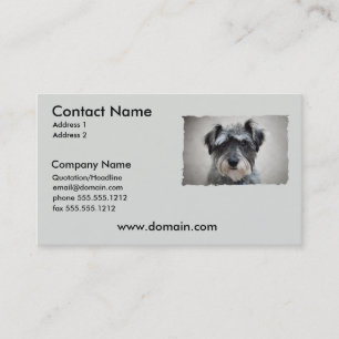 Visitkort för miniatyrSchnauzerhund