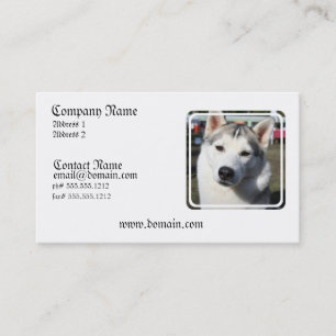 Visitkort för siberian huskyhundfoto