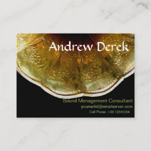 Visitkort - ljud och musik