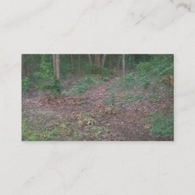 Visitkortar för grönt för natur för skogenskogträd visitkort (Framsida)