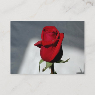 Visitkortar Visitkort