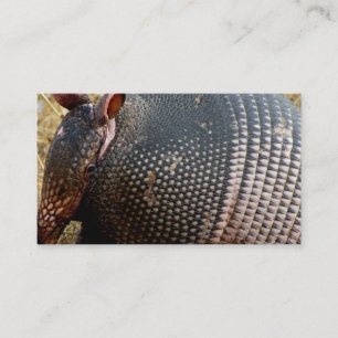 visitkortsmall armadillo-fotografi visitkort