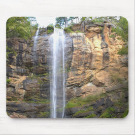 Viska av Toccoa Falls Musmatta
