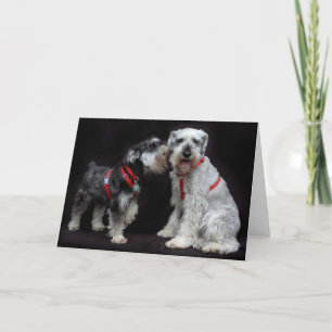 Viska för Schnauzers för hälsningkort två Kort