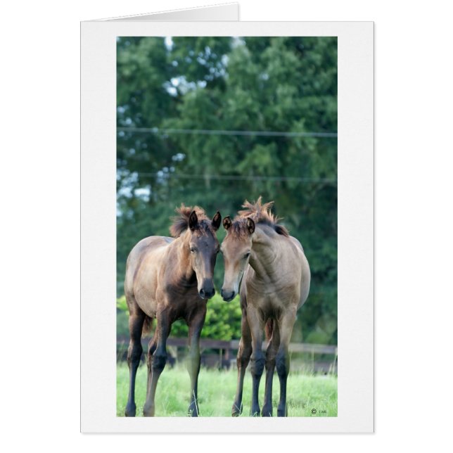 Viskande Hälsningskort (Framsidan)