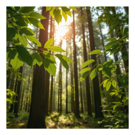 Viskande Skog Fototryck