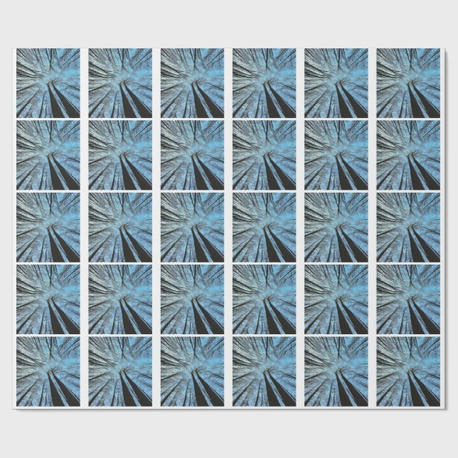 Viskare av viskskog presentpapper (Platt)