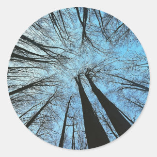 Viskare av viskskog runt klistermärke