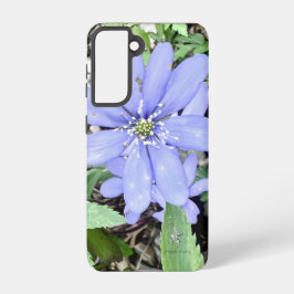 Viskare i skogen - lilac Wildblomma i