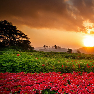 Viskare: Magic Realm Mobil C