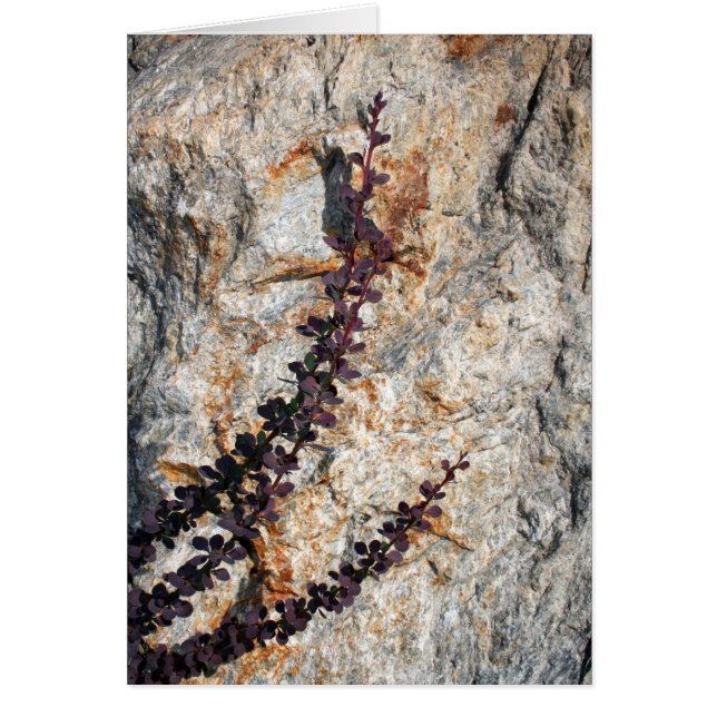 Viskning Hälsningskort (Framsidan)