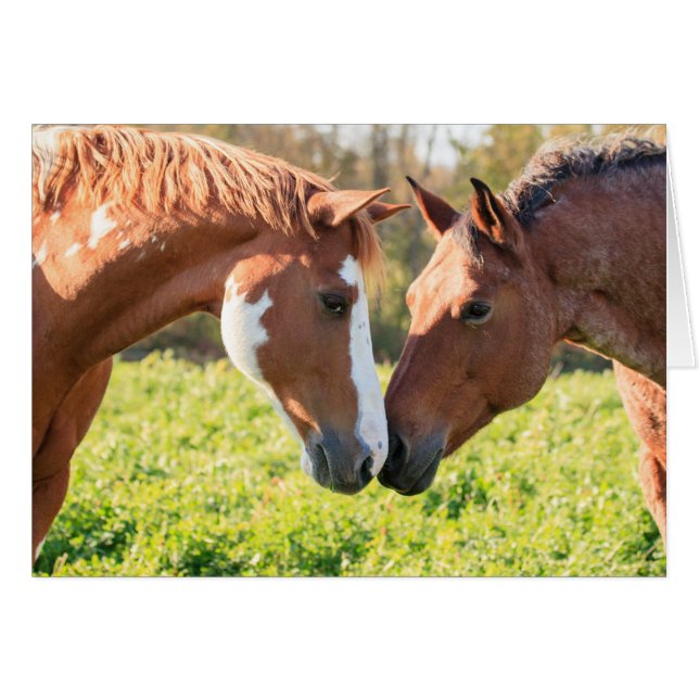 Viskning Hälsningskort (Framsidan Horizontal)