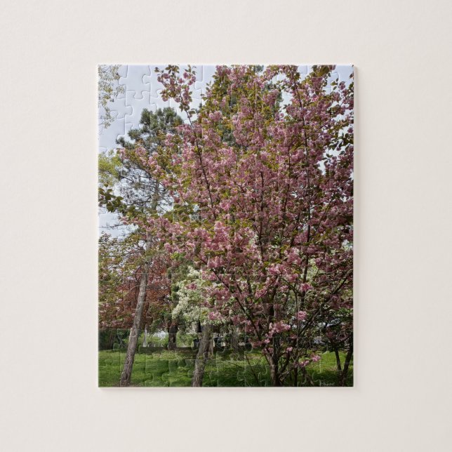 Visning av skönhet och opulens pussel (Vertikal)