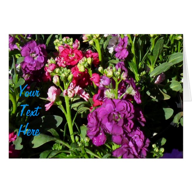 Visning för hemmagasinfack hälsningskort (Framsidan Horizontal)