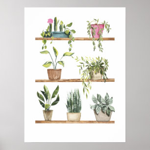 Visning för krukväxter poster