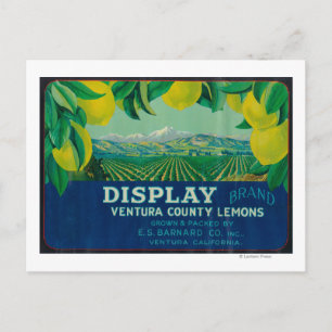 Visning Lemon LabelVentura, CA Vykort