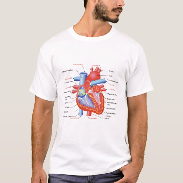 Visningen för humant hjärtdiagram Poster T Shirt (Framsida)