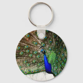 Visningen Male Peacock Feather Nyckelring