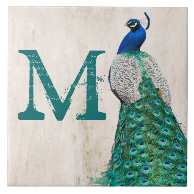 Visningen Tile för Peacock Bird Feather Teal Monog Kakelplatta (Framsidan)