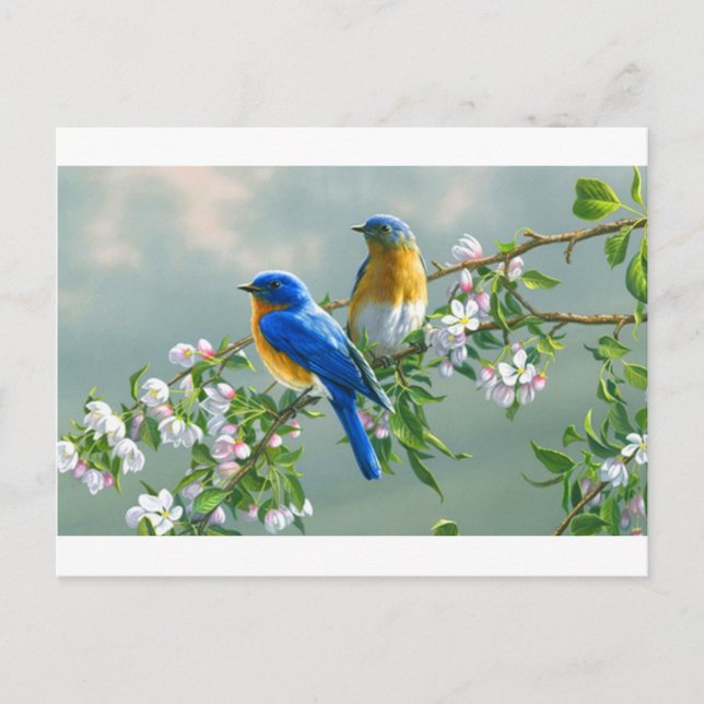 visningskärl-blommor-fåglar-djur-stationär-l- vykort (Framsida)