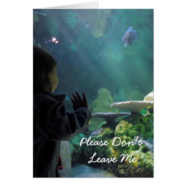 Visningsprogram för Turtle Tank Hälsningskort (Framsidan)