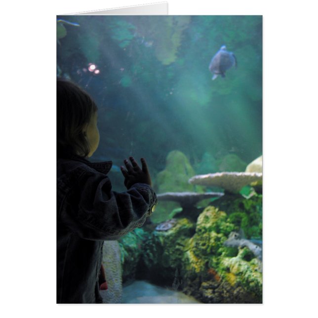 Visningsprogram för Turtle Tank Hälsningskort (Framsidan)